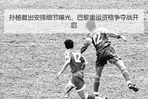孙杨复出安排细节曝光，巴黎奥运资格争夺战开启